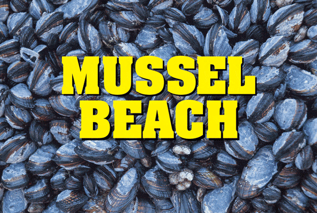 An animated gif that flashes between Mussel Beach and Muscle Beach