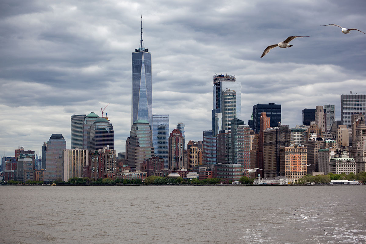 Seagulls flying over Manhattan skyline