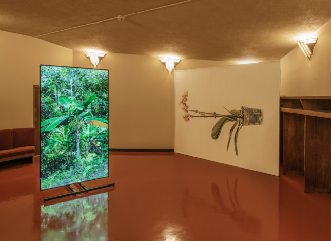 A large video monitor displaying plants next to a tapestry of a sideways potted orchid.