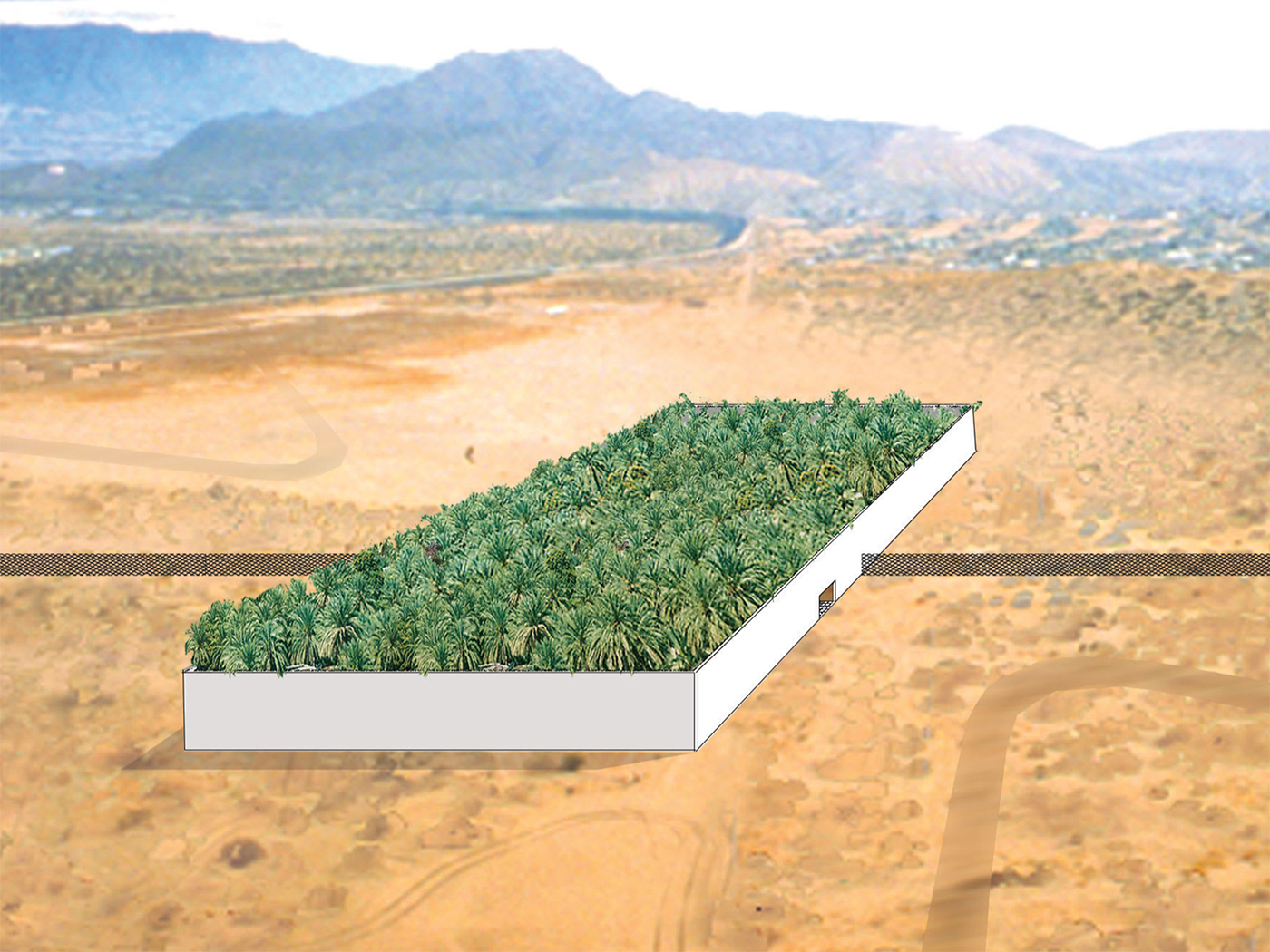 Rendering of an Avante Garde forest on top of a white box