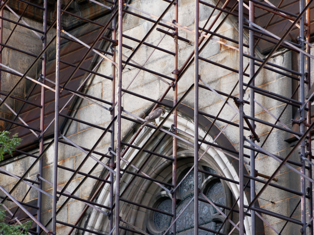 Up close photo of facade under scaffolding