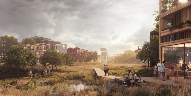 Rendering of fælledby with timber building and nature path running through them