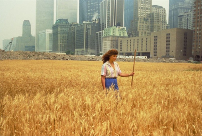 Agnes Denes standing in a field of wheat with tall Manhattan towers behind her