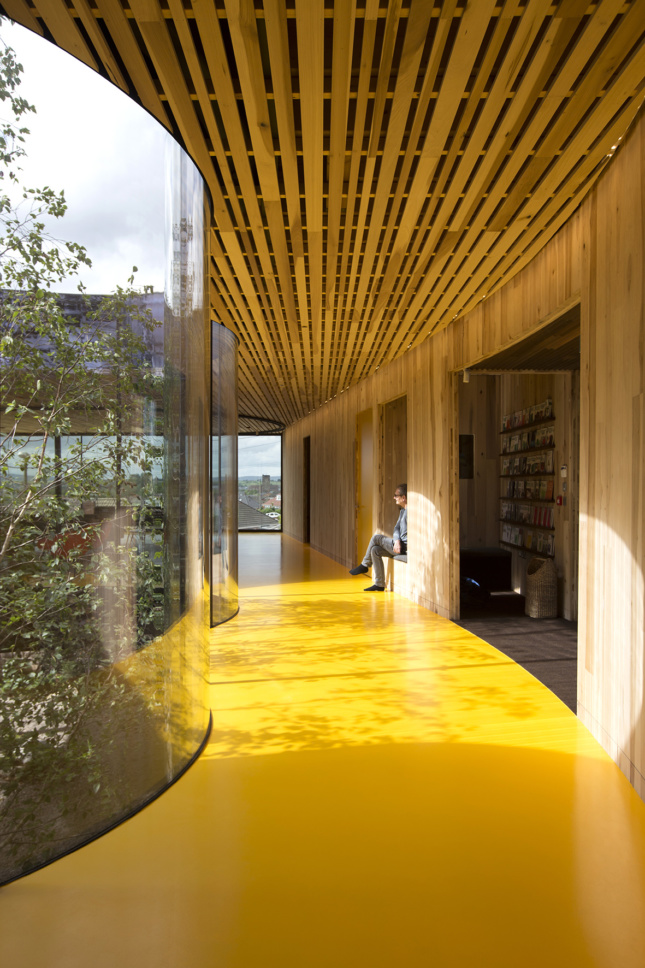 Interior photo of a curved office space with a timber ceiling