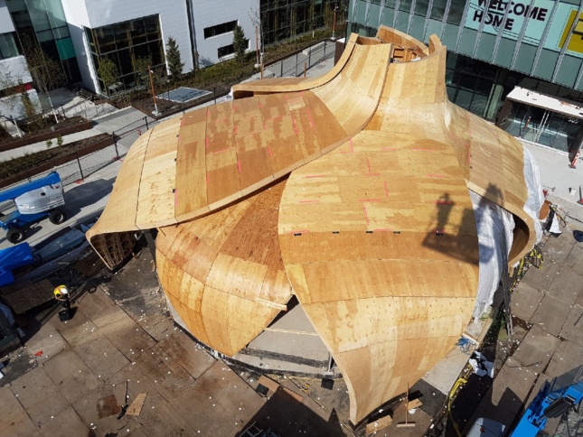 Construction image of bare timber petals