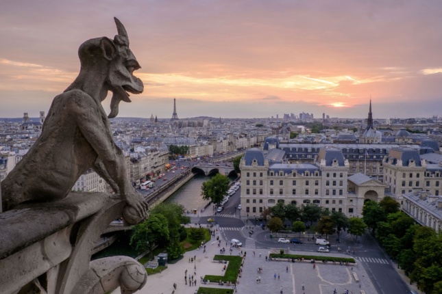 Photo from the roof of Notre-Dame Cathedral showing a gargoyle