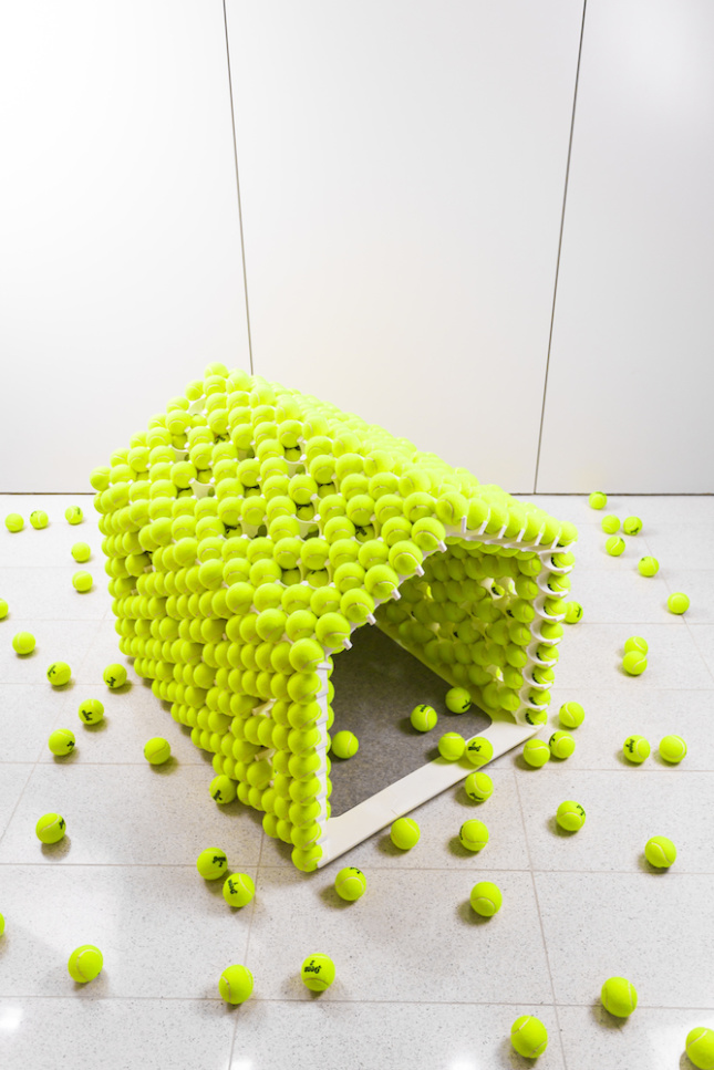 Image of the Fetch House with a number of tennis balls removed