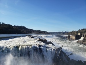 Willamette Falls in Oregon City