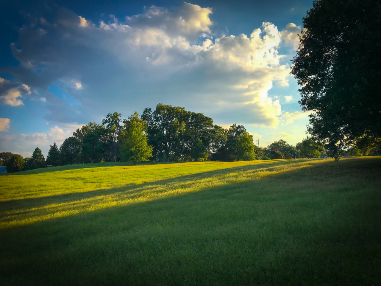 meadow at freedom park