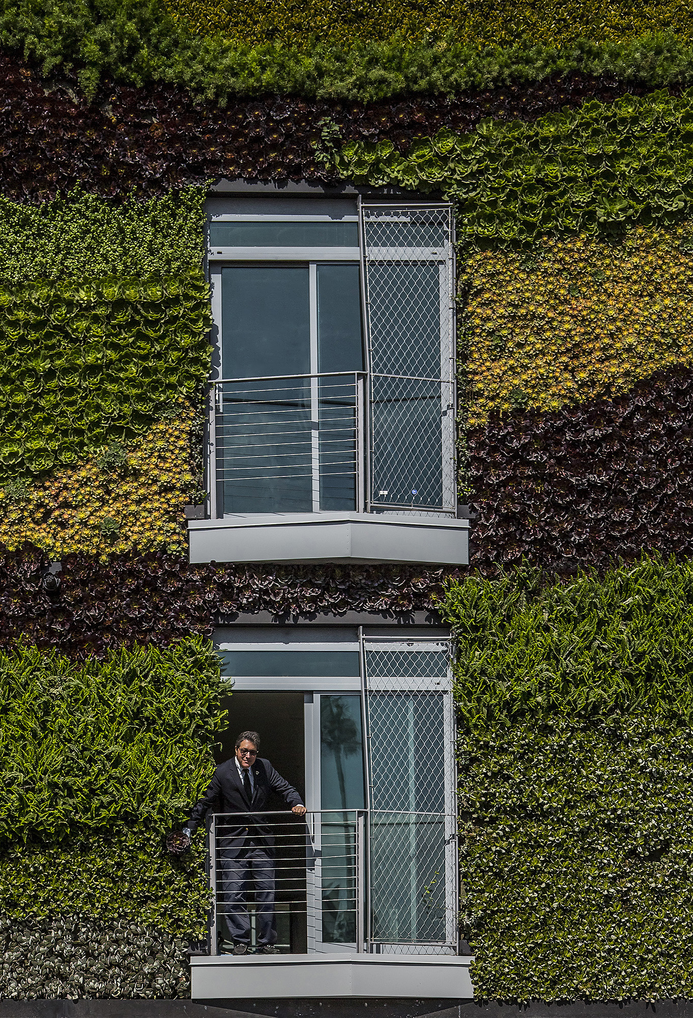 man on a balcony surrounded by greenery