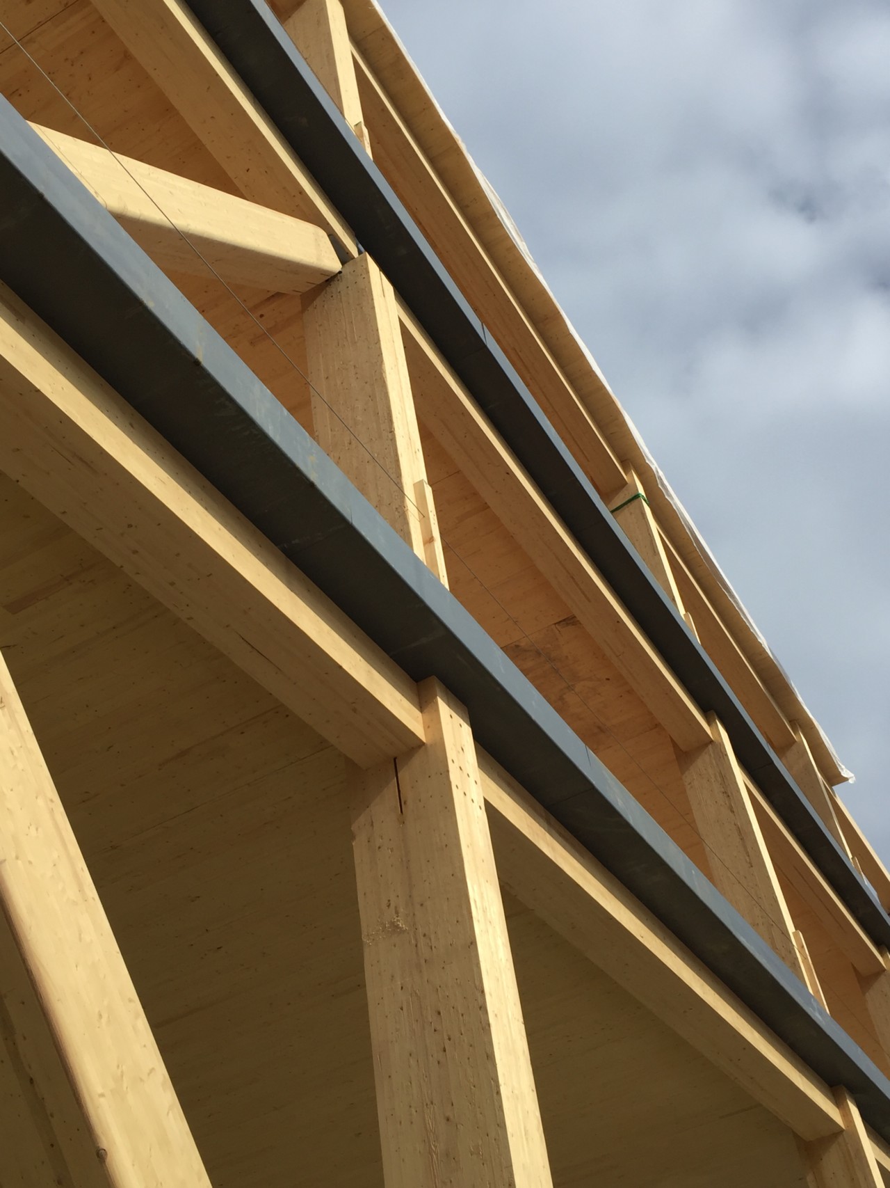 Image of the project's glulam structural system