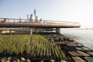 The endpoint of pier 26, a jutting timber walkway over the hudson river