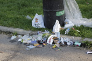 photo of overflowing trash in Prospect Park, one of many affected NYC parks