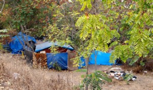 An encampment of people experiencing homelessness, under blue tarps