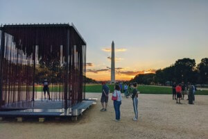 Society’s cage, a monument in front of the washington monument