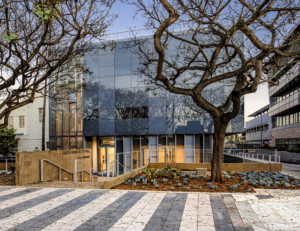 exterior photograph of a contemporary glass government building with landscape and paving
