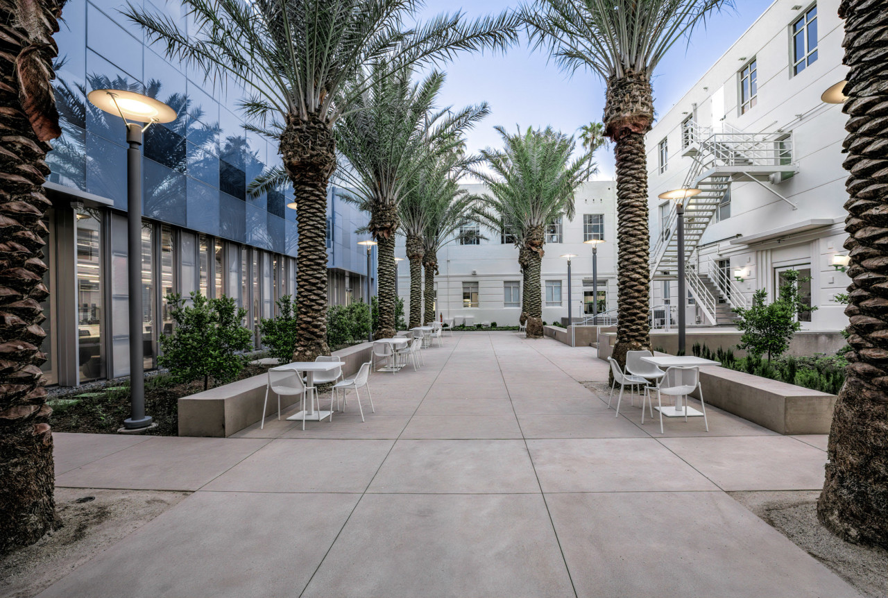 exterior photograph of a contemporary glass government building with paving and palm trees