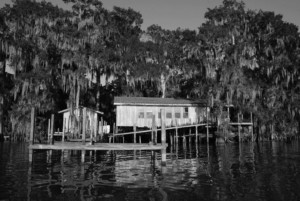 black and white photo of a bayou home ravaged by climate change