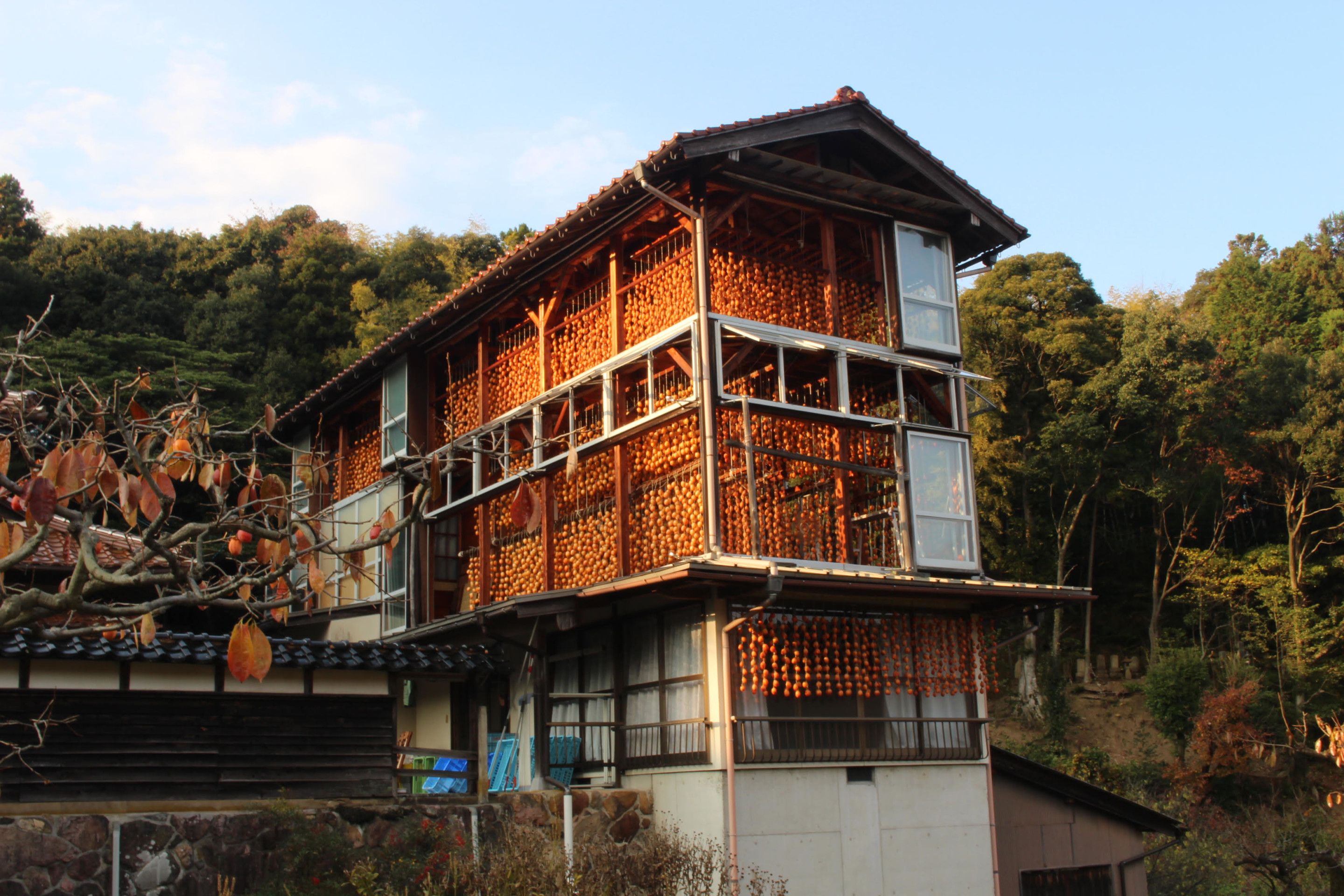 a house in japan with decorative embellishments over windows