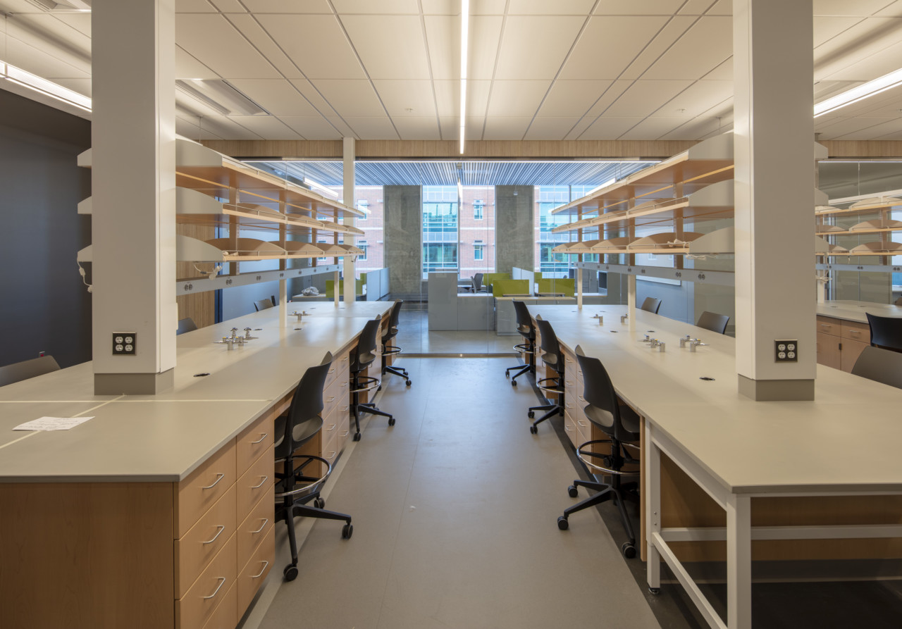 interior photo of a lab space in the plant sciences building