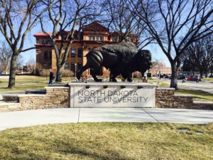 a bison statue at north dakota state university