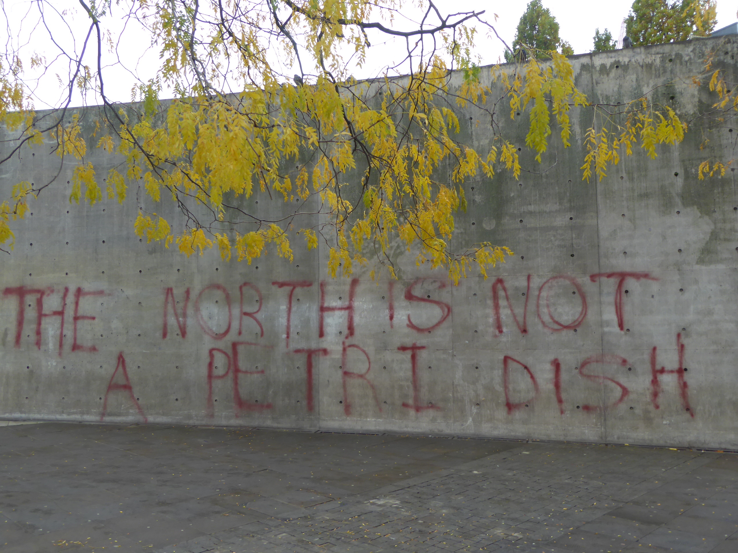 graffiti on a concrete wall