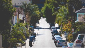 tree-lined street in los angeles, one section that will be covered under tree canopy lab