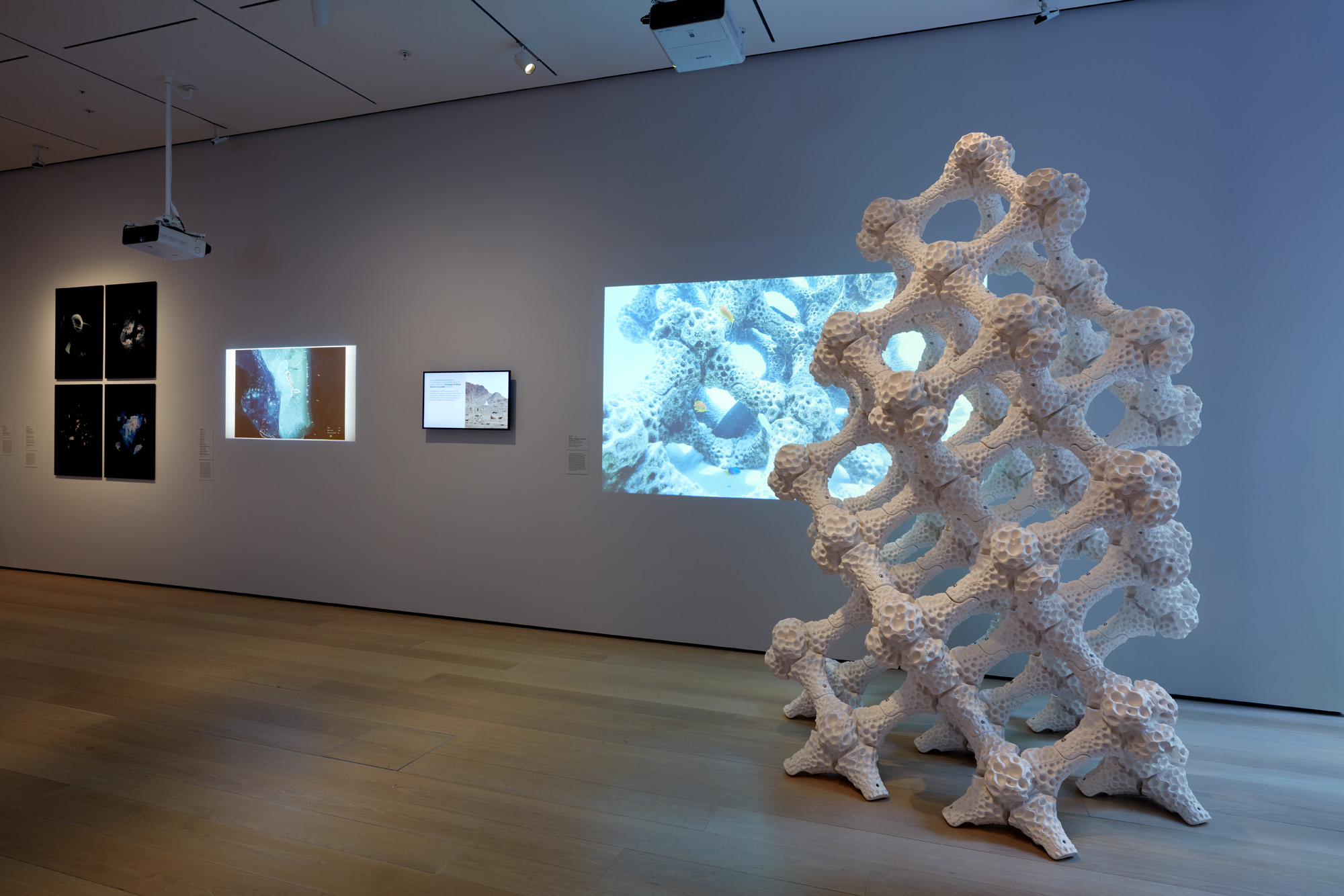 installation view of broken nature showing a structure printed from calcium