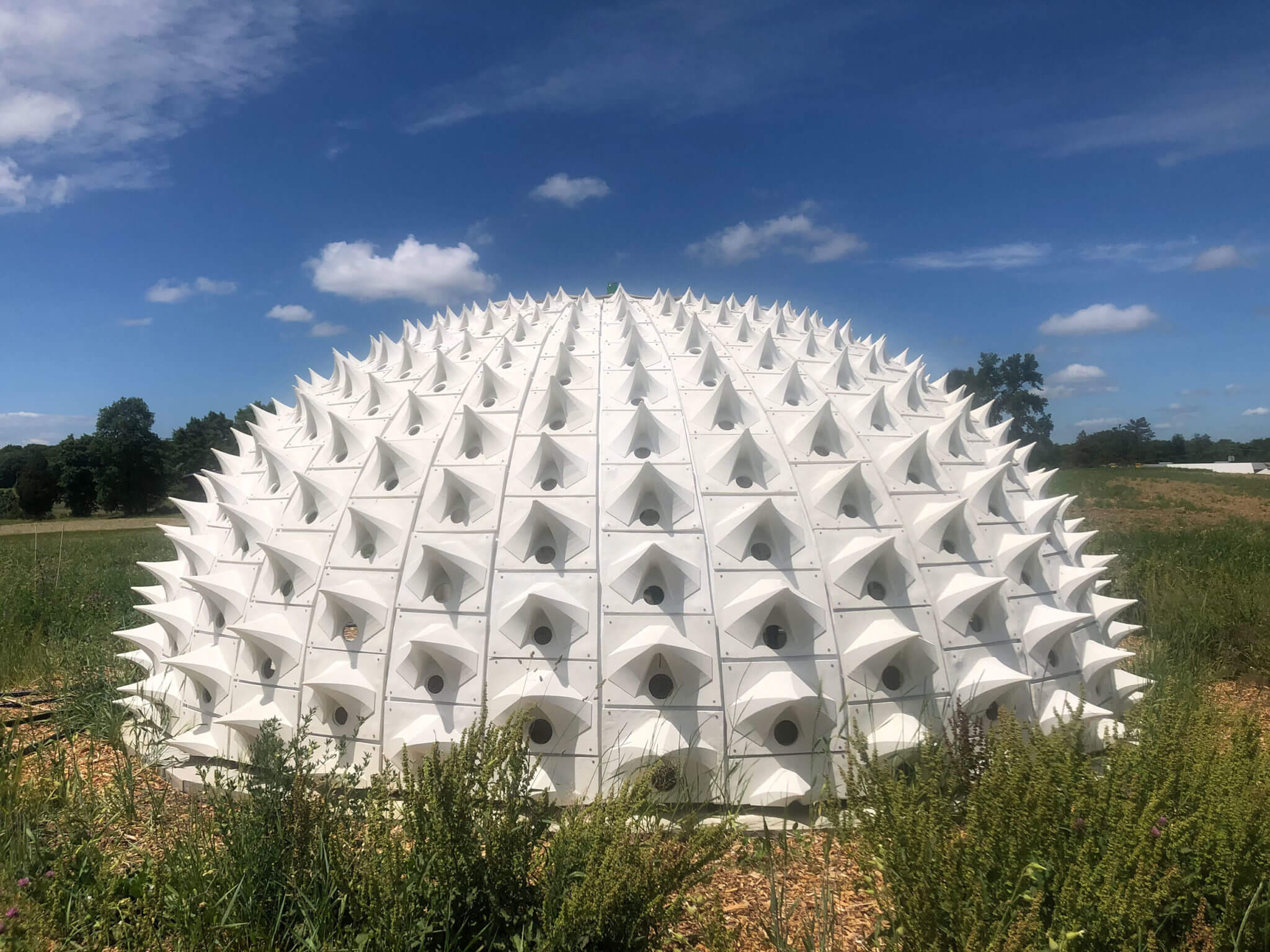 A spikey white dome