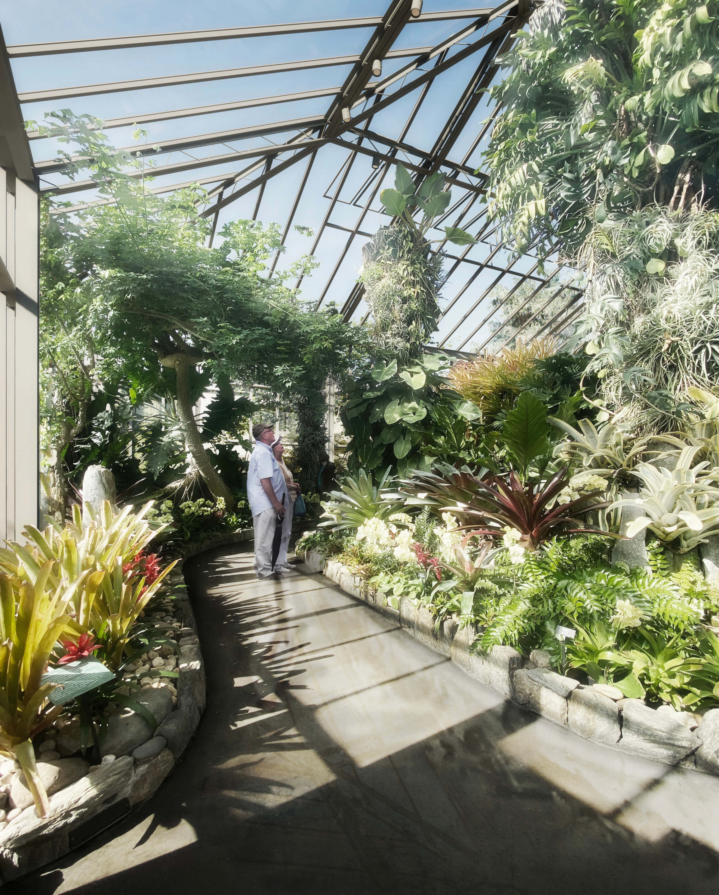 rendering of a greenhouse interior