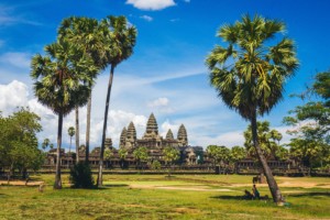 an ancient temple site in cambodia with trees