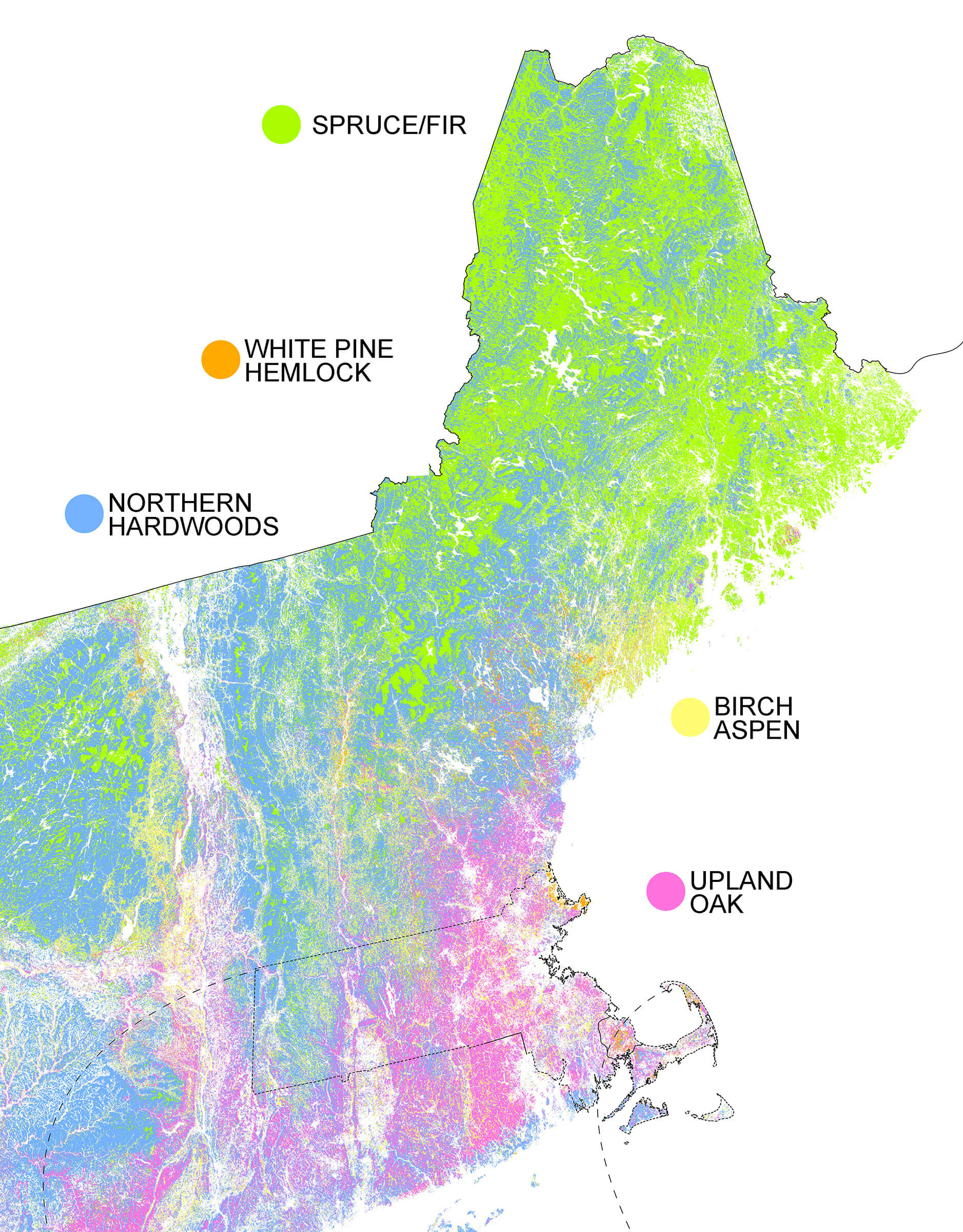 A heat map of timber production across New England showing spruce, birch, oak, hardwoods, and hemlock