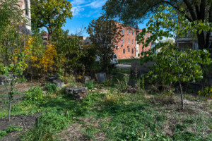 a vacant, overgrown lot in chicago, which will be reclaimed for the Chicago Architecture Biennial
