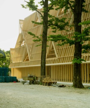 installation shot from the 2021 Venice Architecture Biennale showing off a three-story timber framed house