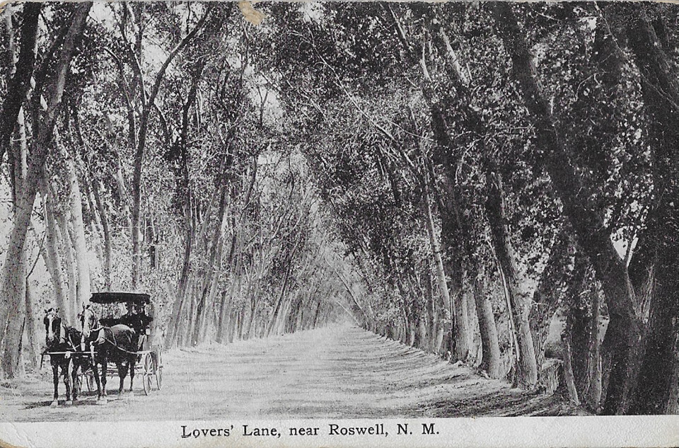 post card showing bent trees over a path