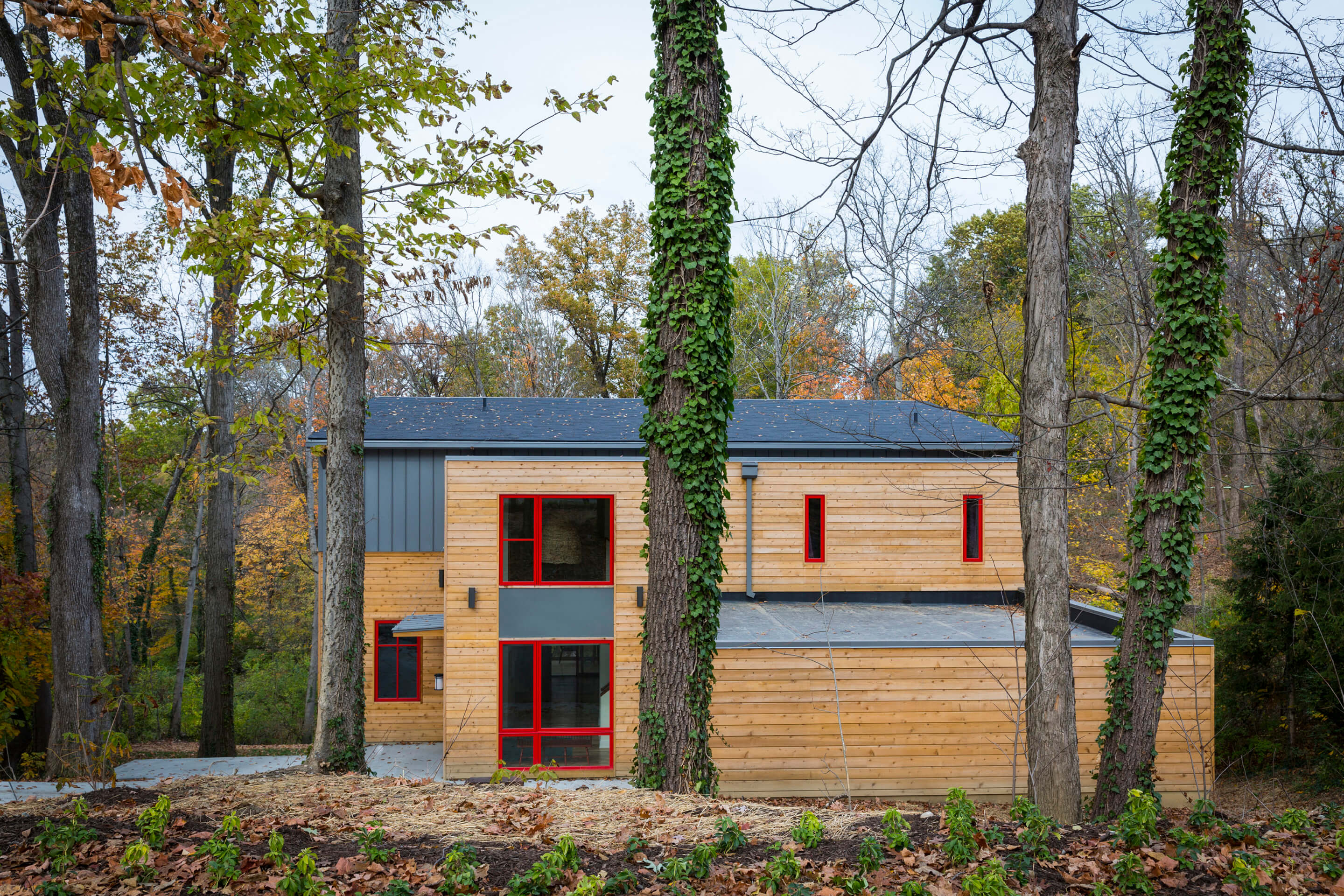 photograph depicting the exterior of a contemporary residence featuring prominent wood cladding
