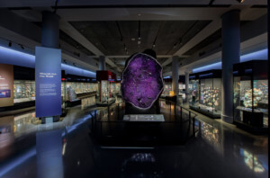 view of mineral specimens on display in a museum