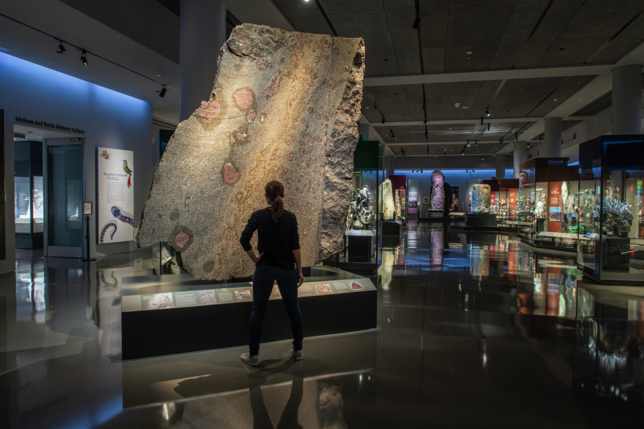 a large slab of amphibolite rock on display in a museum