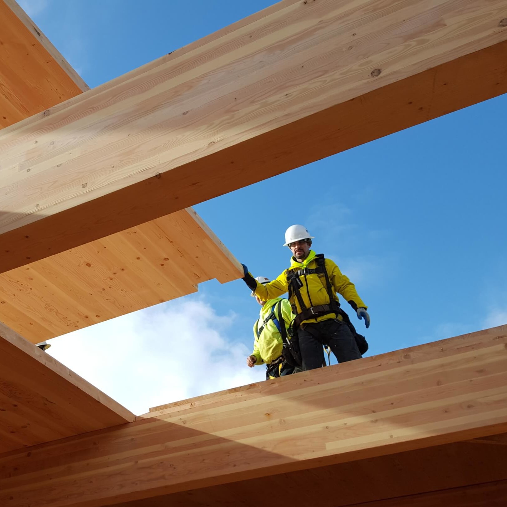 a builder on top of a wooden roof