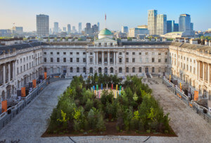 forest for change, an urban tree patch installed for the 2021 london design biennale