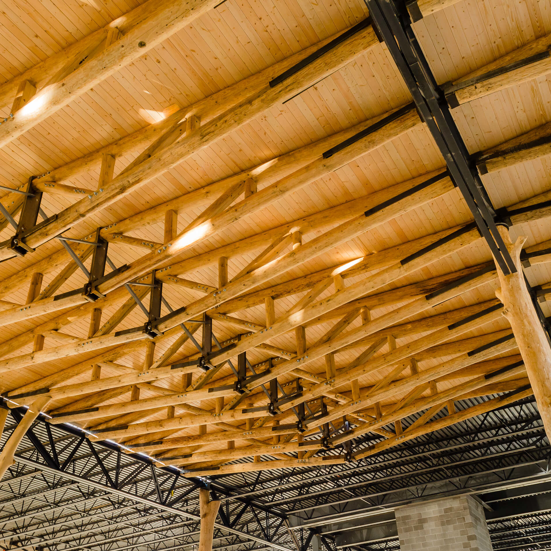 an exposed wooden truss system within a building's interior