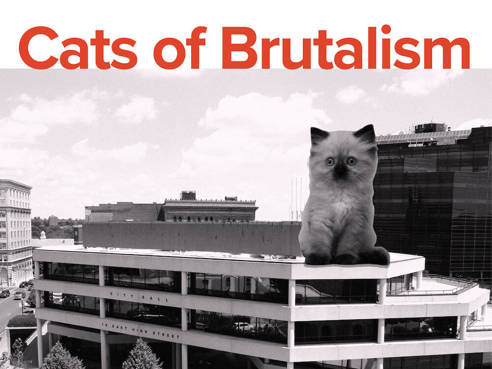 cats of brutalism