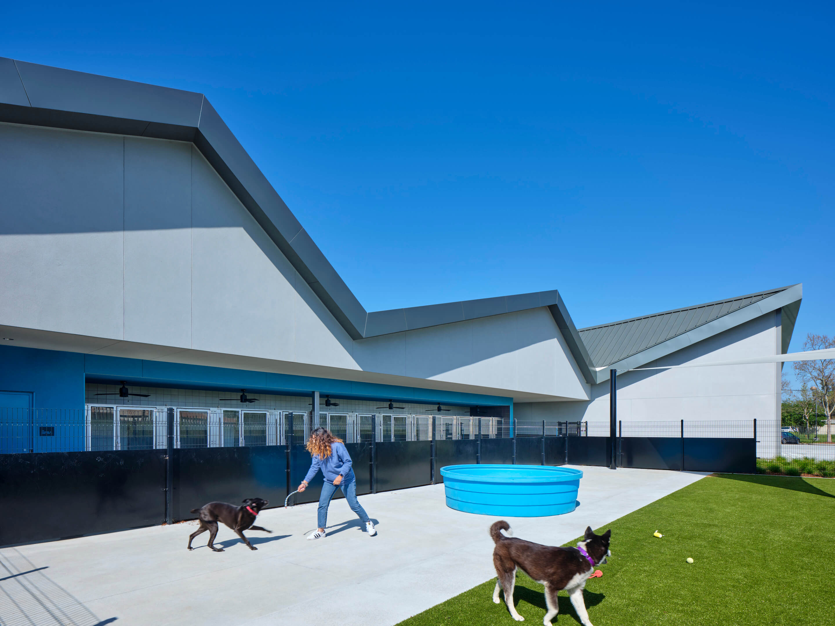 The County of Santa Clara Animal Services Center reimagines the  conventional shelter