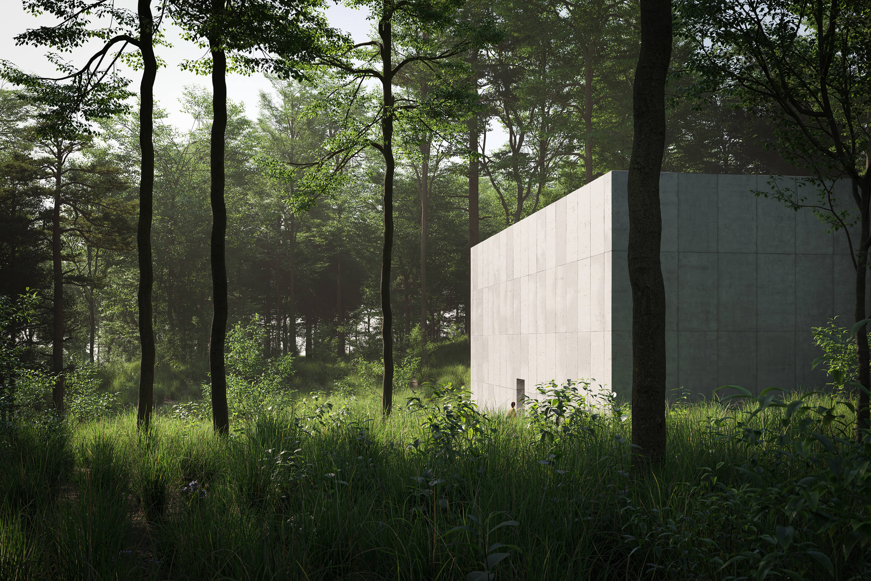 Rendering of a concrete cube in vegetation with people walking inside