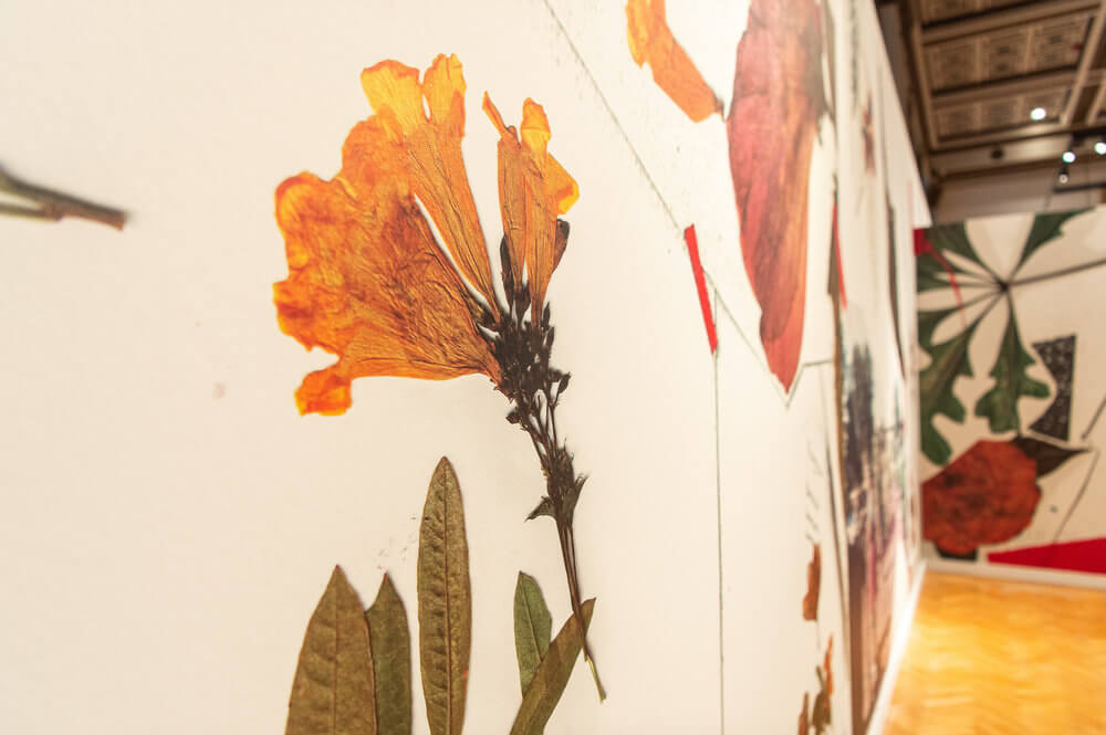 a contemporary art installation comprising blown-up images of pressed flowers