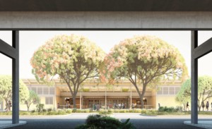 rendering of a tree-flanked entrance to a rural hospital complex