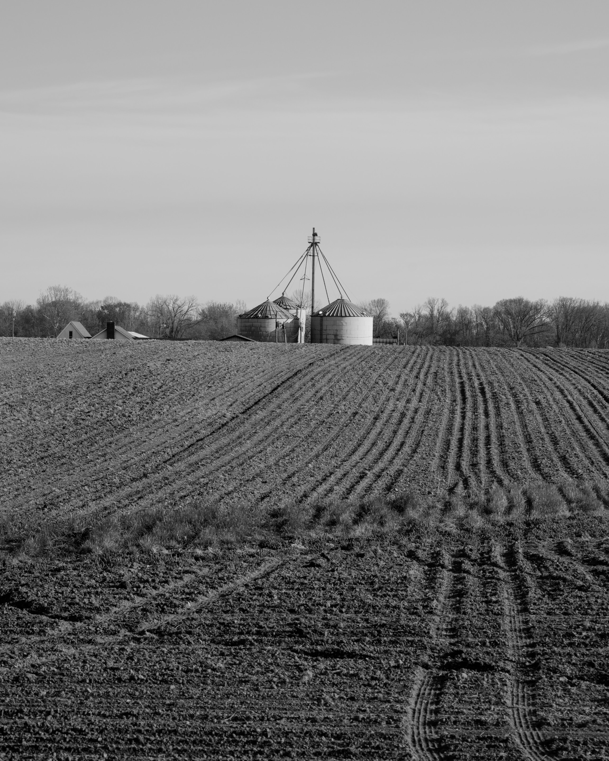 Black and white photo of farmland