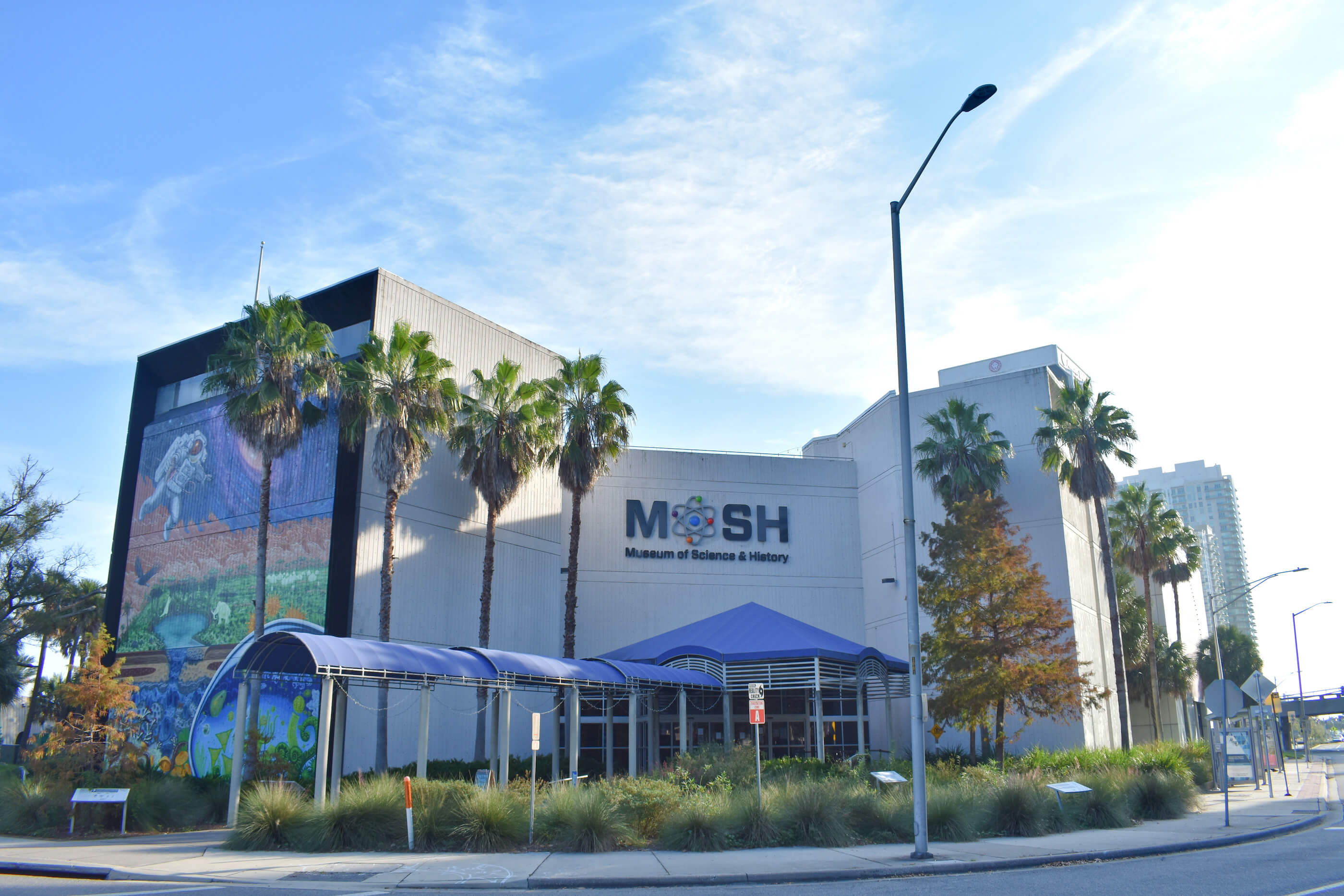 exterior of a florida science museum with palm trees