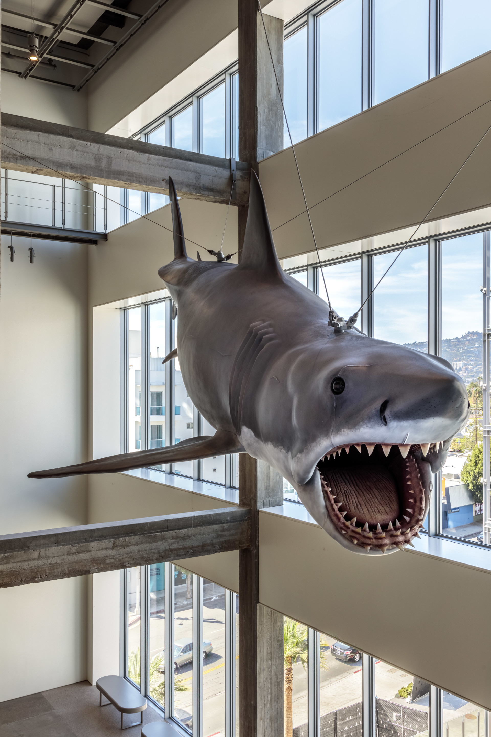 photograph depicting a suspended animatronic shark in a museum