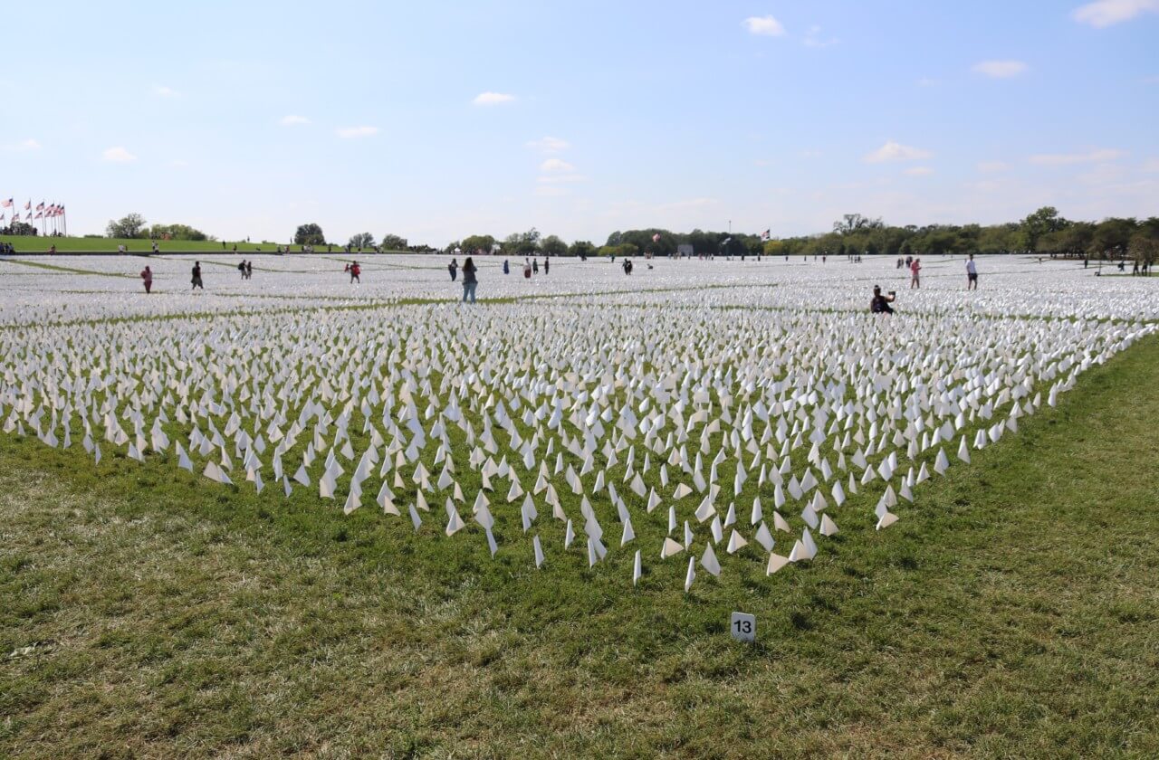 A white field of flags with people walking through it for In America: Remember 